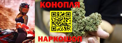 ECSTASY Гай