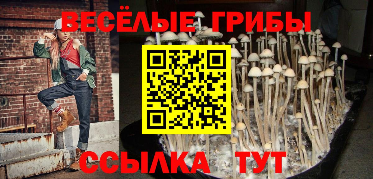 Галлюциногенные грибы Magic Shrooms Можга