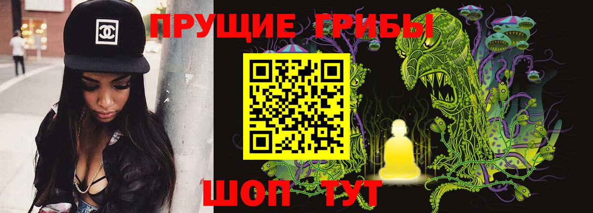 как найти   Вход с VPN  Псилоцибиновые грибы ЛСД  Можга  Галлюциногенные грибы GOLDEN TEACHER 